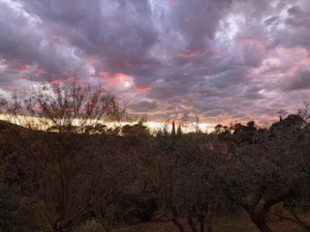 Bastide Saint Bernard Bed & Breakfast Le Thoronet Bagian luar foto