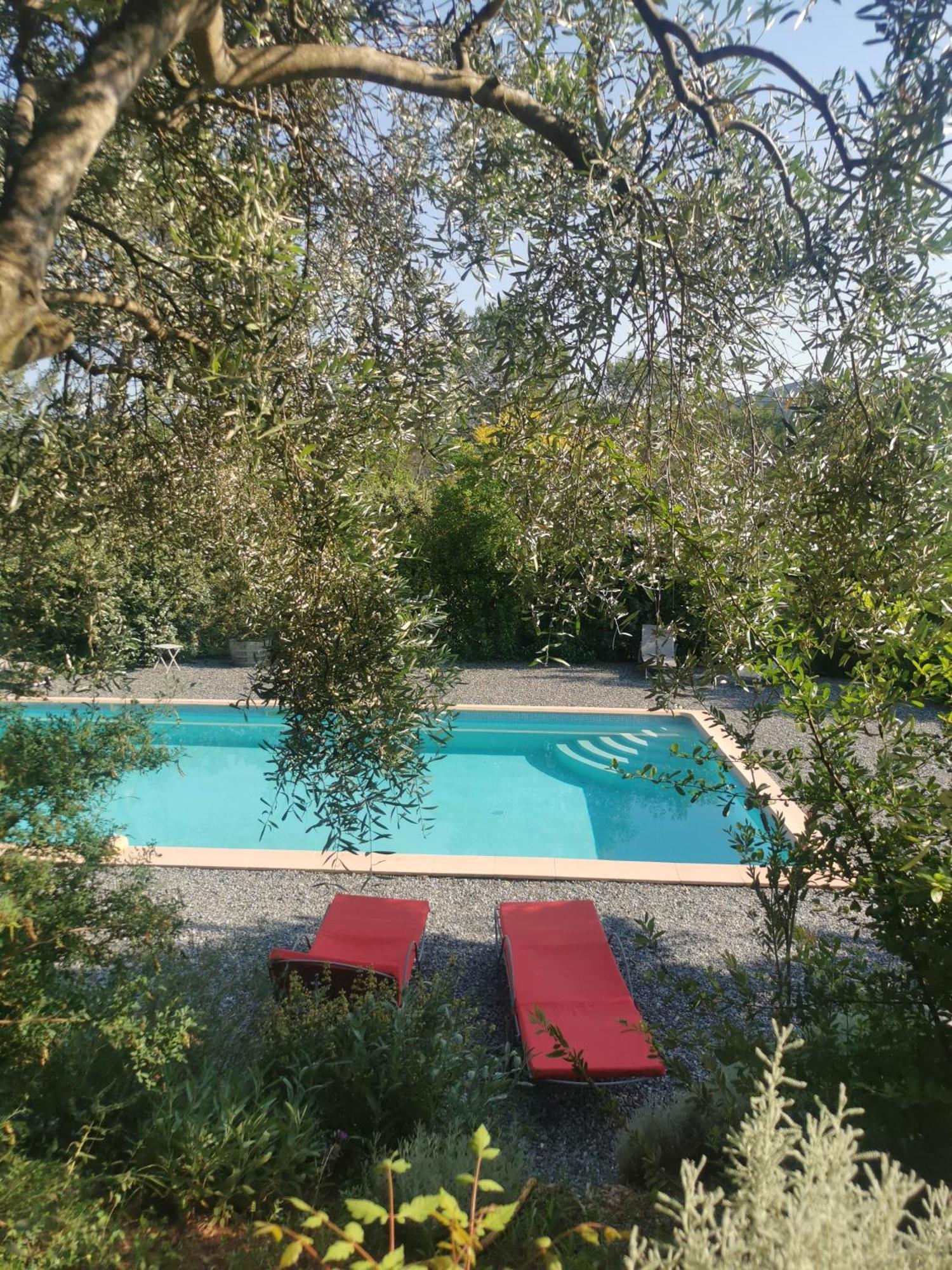 Bastide Saint Bernard Bed & Breakfast Le Thoronet Bagian luar foto