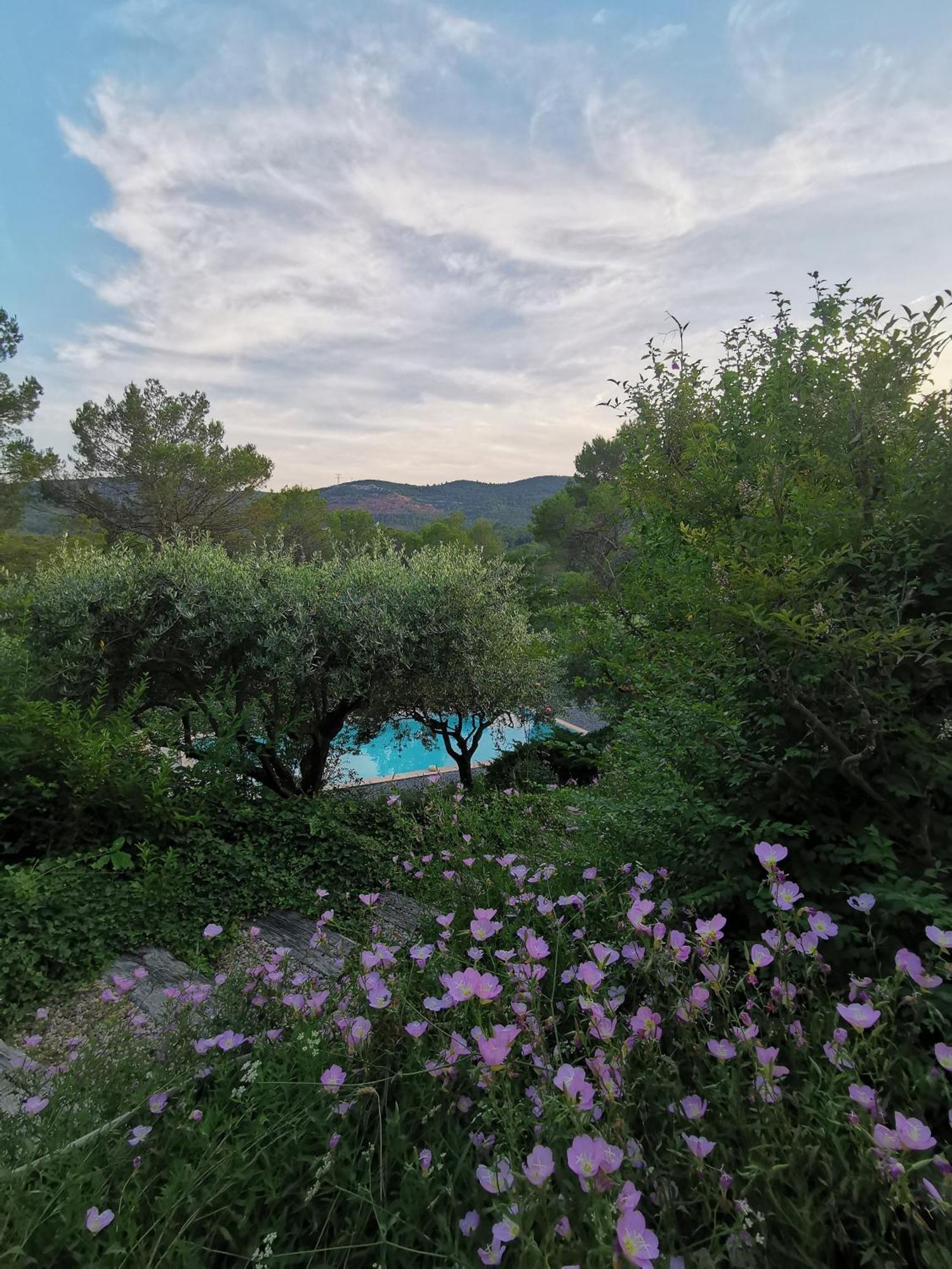 Bastide Saint Bernard Bed & Breakfast Le Thoronet Bagian luar foto