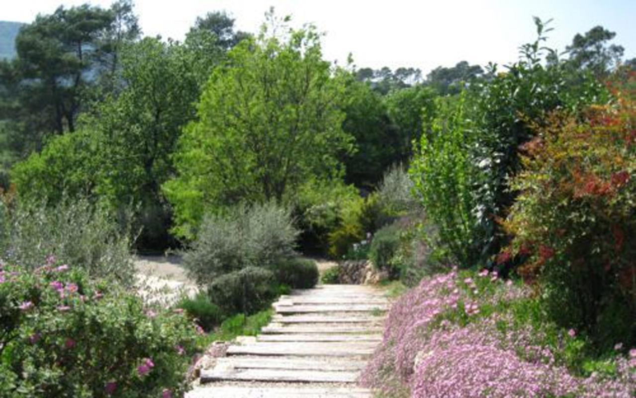 Bastide Saint Bernard Bed & Breakfast Le Thoronet Bagian luar foto
